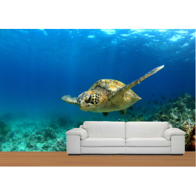 Wall Graphics