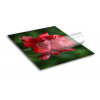 Reflective Adhesive Vinyl